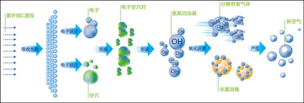 有機(jī)廢氣處理合作廠家工藝流程圖